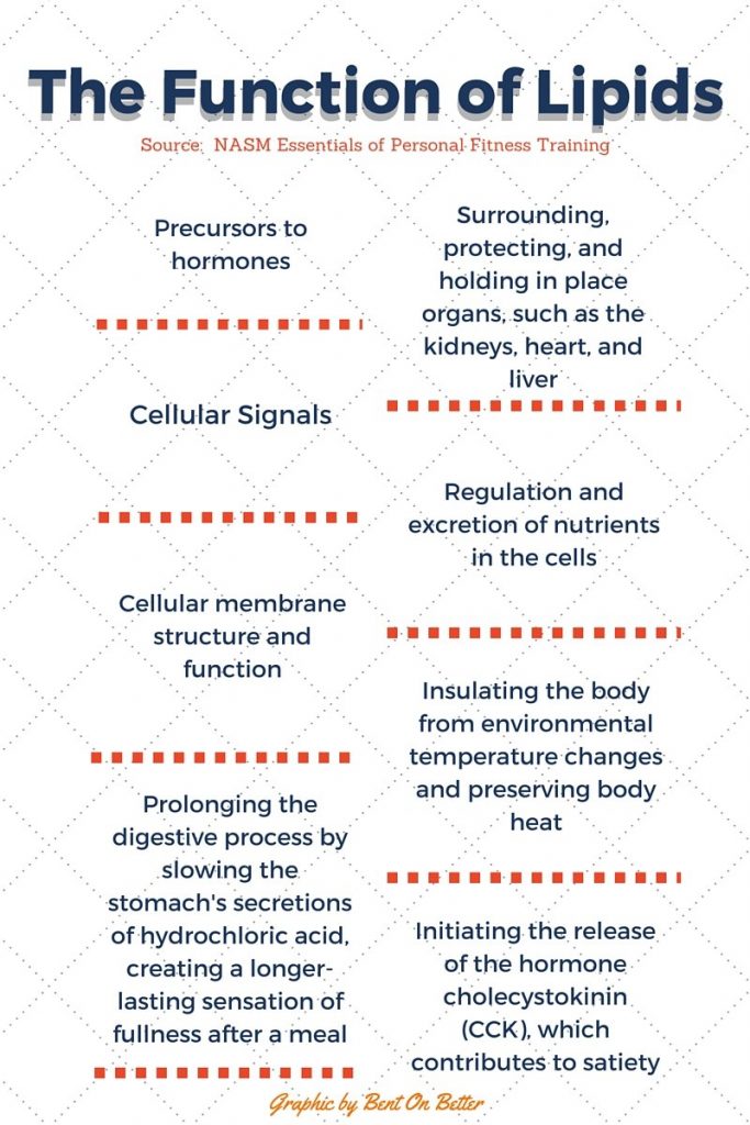 Bent On Better - All About Lipids-Fats and Oils- The Function of Lipids