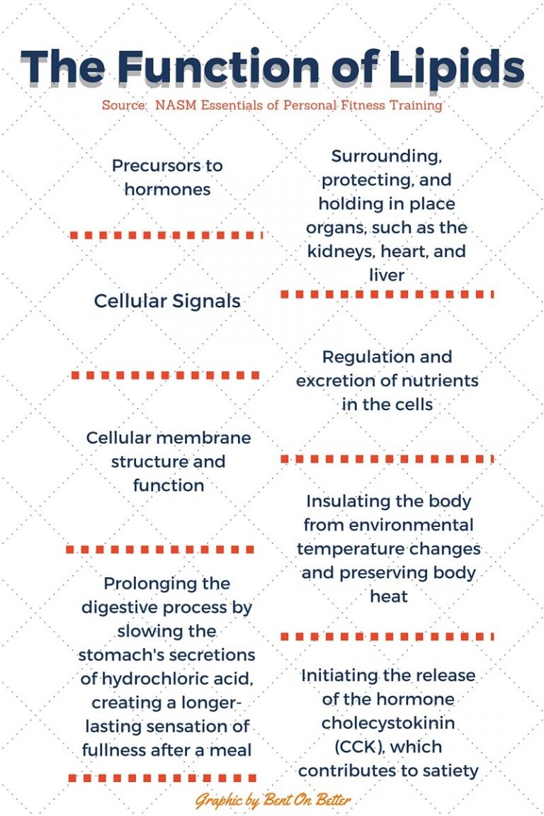 What Is Not A Function Of A Lipid All About Lipids - Fats and Oils