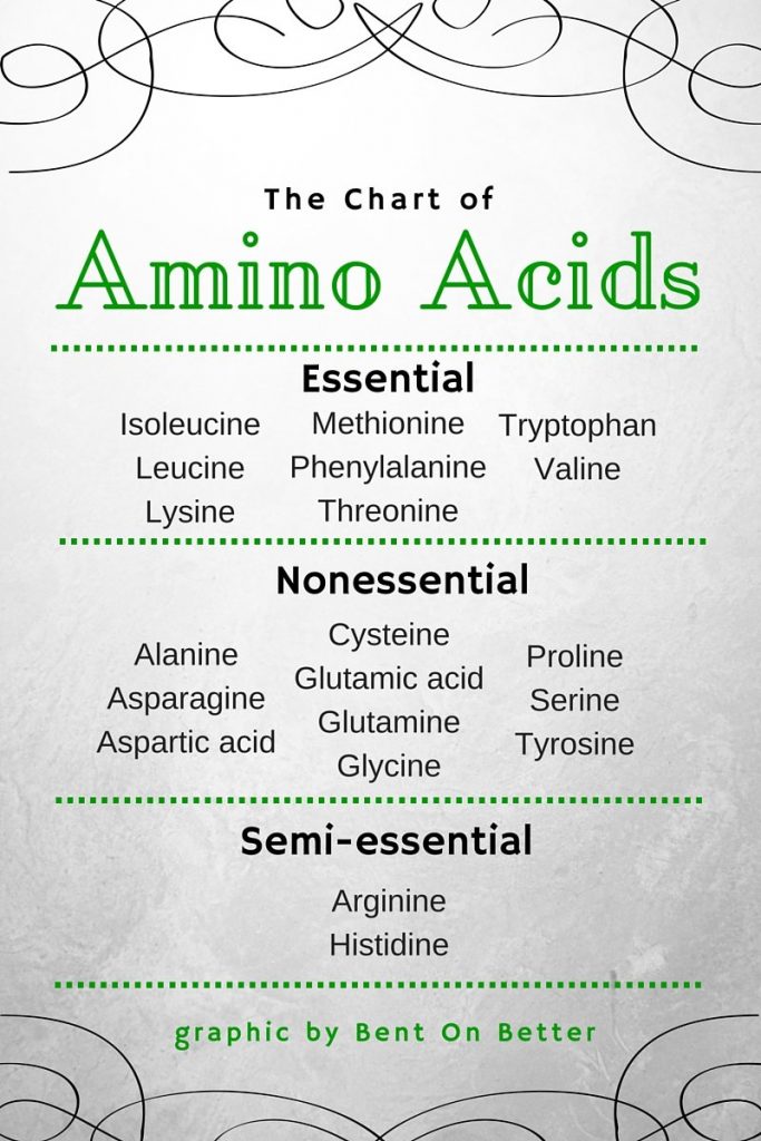 Why You Should Eat More Protein - Bent On Better - The Chart of Amino Acids