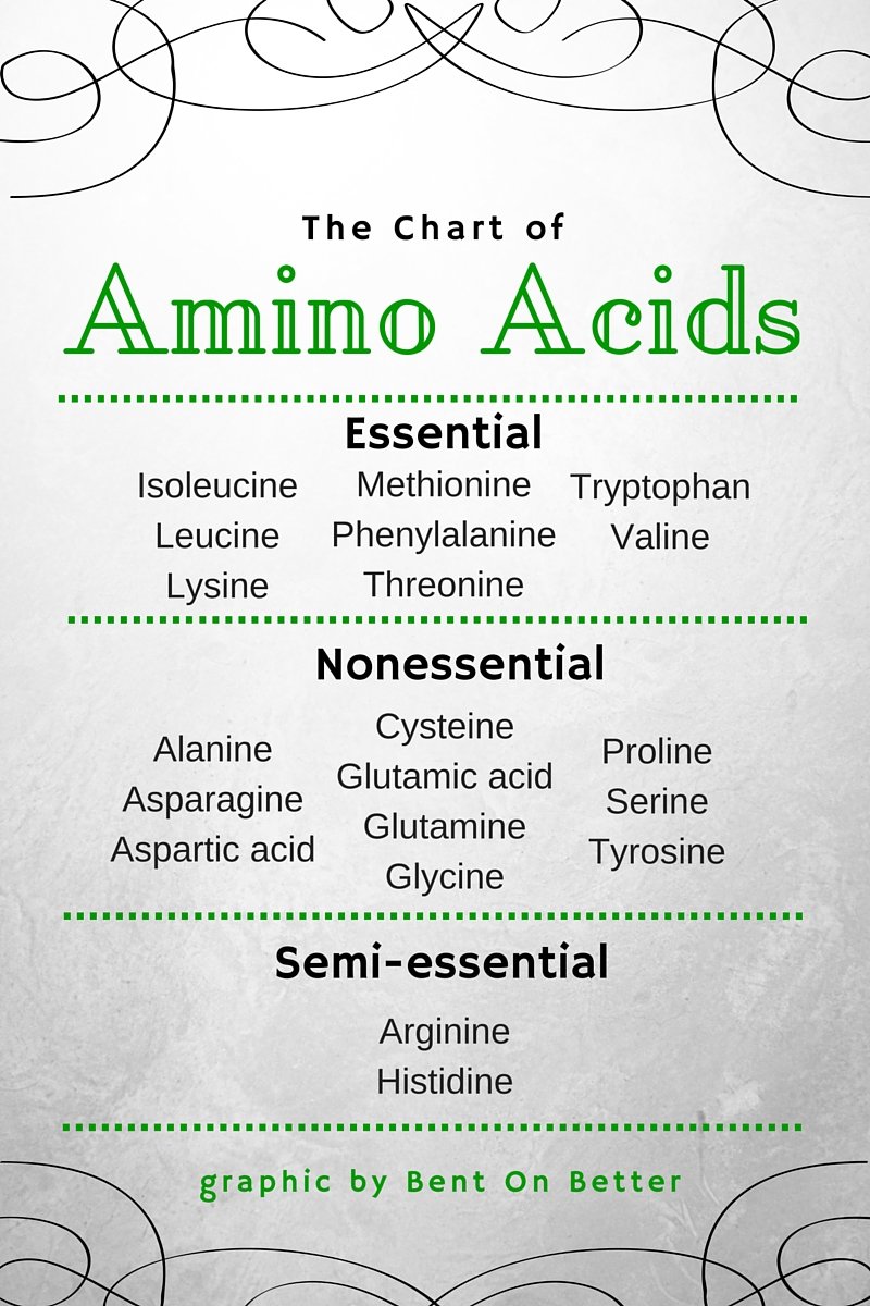 Amino Acid Benefits Chart